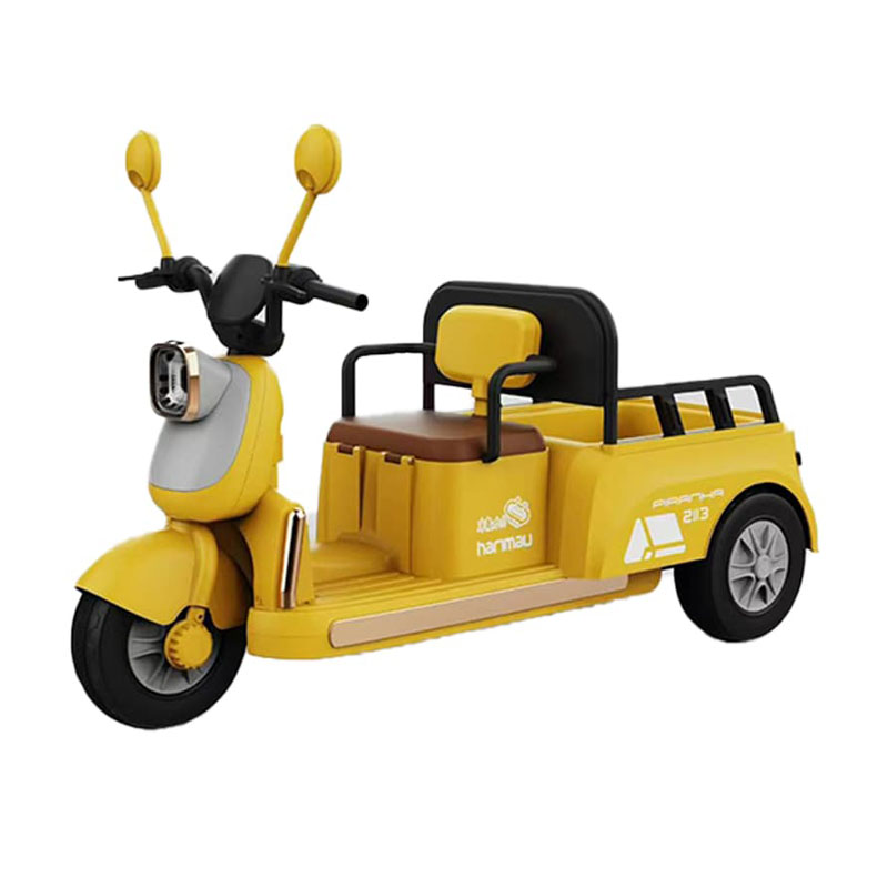 Kids Electric Tricycle with Multiple Configurations Available